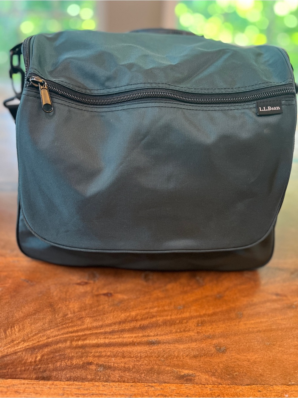 LL Bean Travel Toiletry Bag Large Hanging Organizer Teal Green Nylon